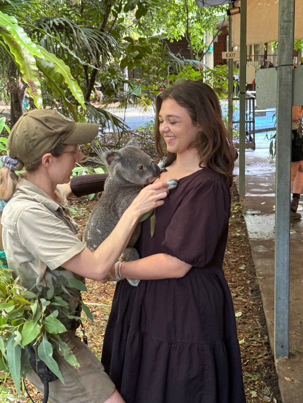 A semester abroad at the University of Queensland, Australia 